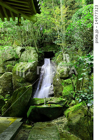 三瀧寺 三瀧寺 14977323