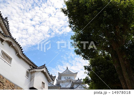 姫路城大天守(世界文化遺産・国宝) 姫路城大天守(世界文化遺産・国宝) 14978018