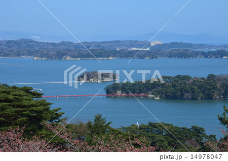 松島 松島 14978047
