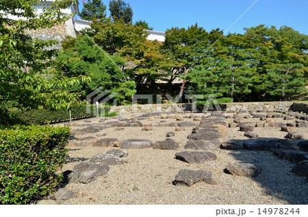 姫路城　天守の庭 14978244