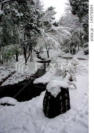 雪の横浜・港北ニュータウン・ささぶねの道 14978884