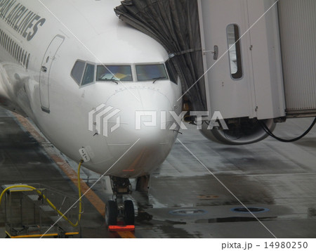 羽田空港 第1旅客ターミナル 羽田空港 第1旅客ターミナル 14980250