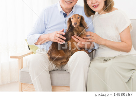 シニア夫婦 介護イメージ 14980267