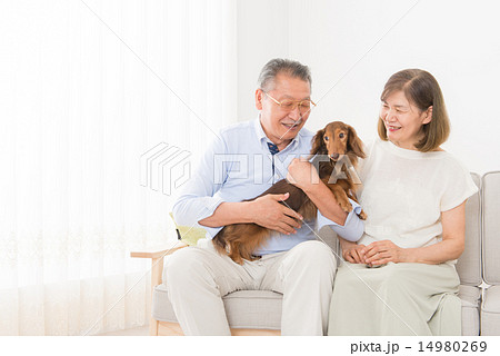 シニア夫婦 介護イメージ 14980269