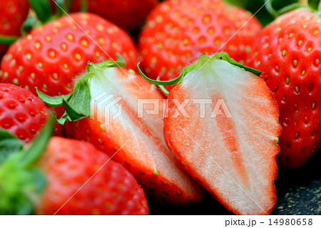 越後姫 越後姫 14980658