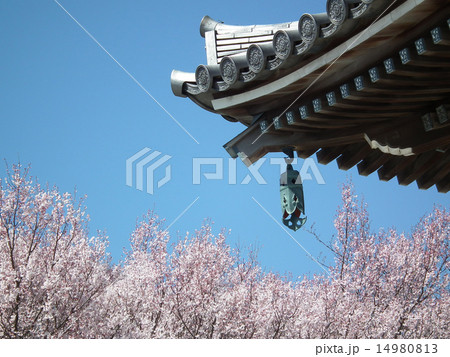 香林寺 五重塔 香林寺 五重塔 14980813