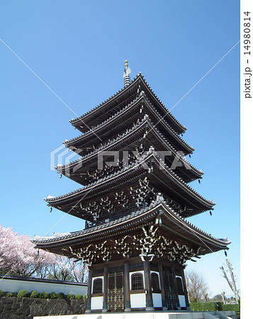 香林寺 五重塔 香林寺 五重塔 14980814