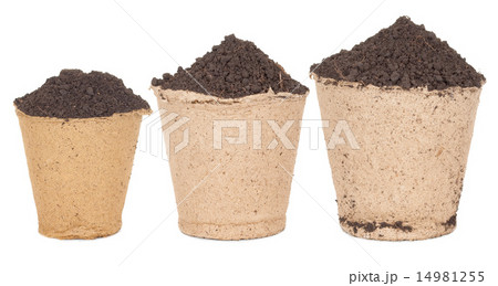 Peat pots with soil 14981255