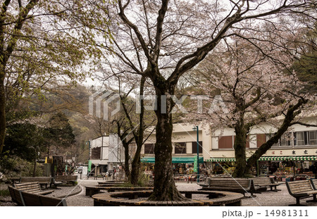 高尾山 高尾山 14981311