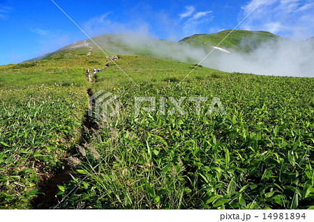 ガス湧く朝日連峰・以東岳への登山道 14981894