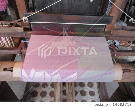 秩父銘仙 14982713