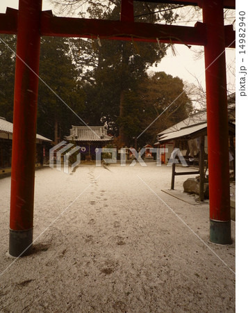 山添村・春日神社 14982940