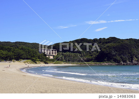 下田の海　弓ヶ浜海岸 14983063