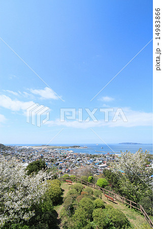 館山・城山公園からの景色 14983866