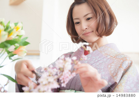 kimono kimono 14983880