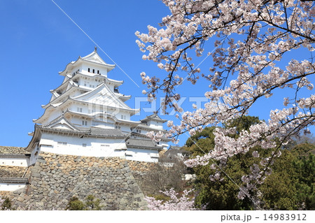 姫路城と桜 14983912
