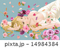 花 14984384