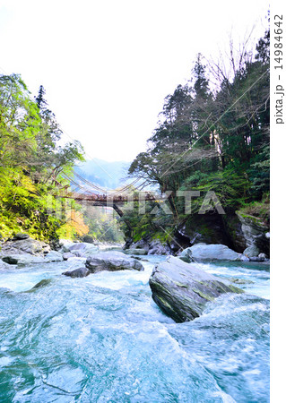 かずら橋2 14984642