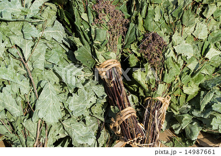 Oak and Birch Leaves for Sauna 14987661