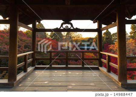 東福寺の紅葉 14988447