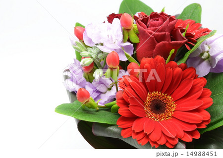 真紅のガーベラをセンターに置いたフラワーアレンジメント 14988451