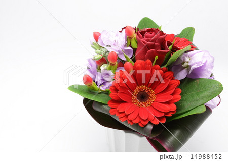 真紅のガーベラをセンターに置いたフラワーアレンジメント 真紅のガーベラをセンターに置いたフラワーアレンジメント 14988452