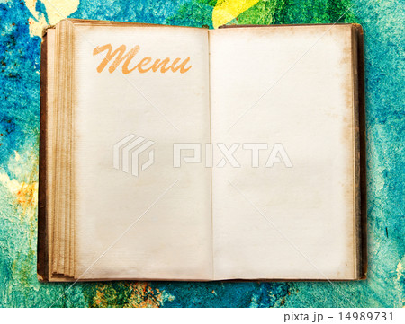Blank vintage menu book 14989731