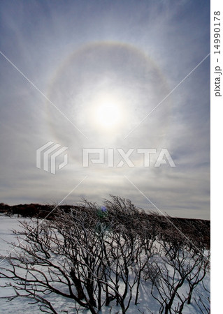 那須・日の出平から見た光環 14990178