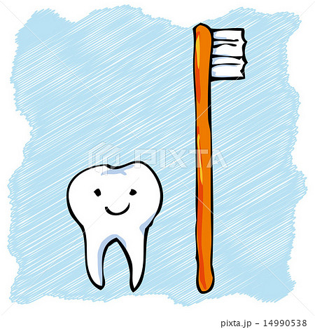 歯磨き 14990538