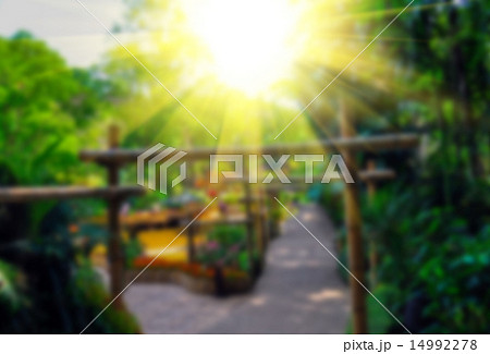 Abstract blur background of colorful nature 14992278