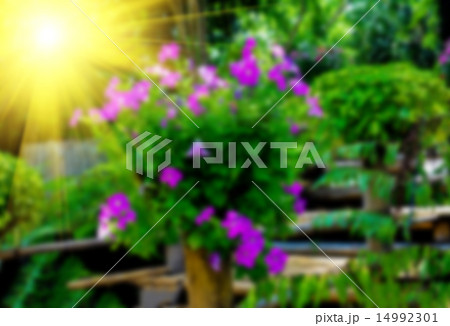Abstract blur background of colorful nature 14992301