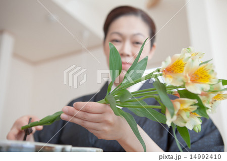 kimono kimono 14992410