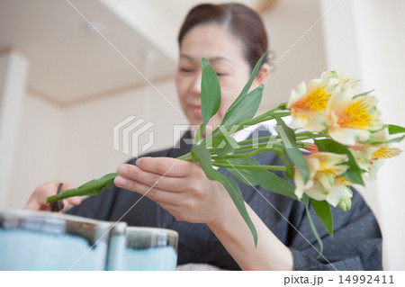 kimono kimono 14992411