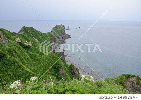 神威岬 14992847