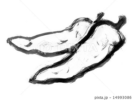 獅子唐辛子 14993086