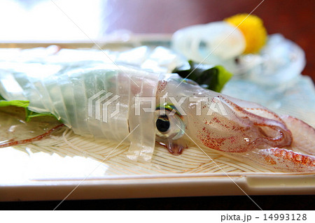 イカの活造り イカの活造り 14993128