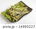 わらび 14993227