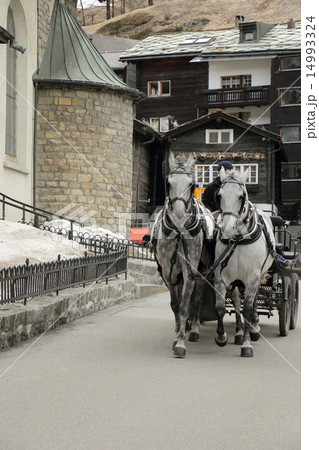 馬車 14993324