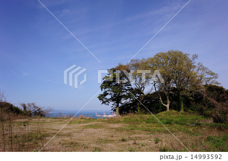 和布刈公園の青空と海 14993592