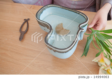 kimono kimono 14994063