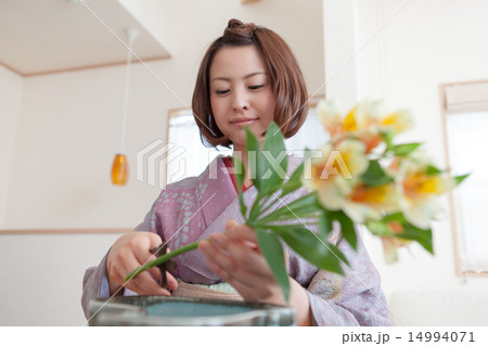 kimono 14994071