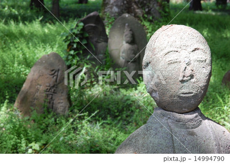 緑の中の石仏 14994790