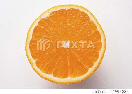 デコポン デコポン 14995082