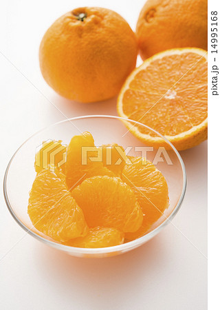 デコポン 14995168