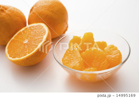 デコポン 14995169