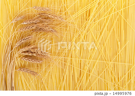 Ears of wheat on a background scattered spaghetti Ears of wheat on a background scattered spaghetti 14995976