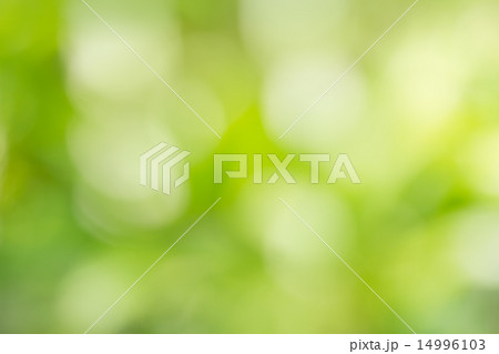 Natural green bright blur background  14996103