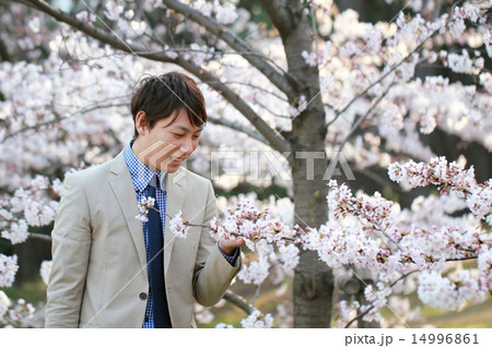 男性1人 (ビジカジ ビジネスカジュアル 仕事 桜 春 新生活 会社員 新学期 ソメイヨシノ) 男性1人 (ビジカジ ビジネスカジュアル 仕事 桜 春 新生活 会社員 新学期 ソメイヨシノ) 14996861