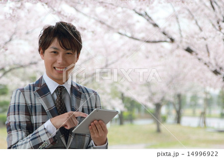 男性1人 (ビジカジ ビジネスカジュアル 仕事 桜 春 新生活 会社員 新学期 ソメイヨシノ) 男性1人 (ビジカジ ビジネスカジュアル 仕事 桜 春 新生活 会社員 新学期 ソメイヨシノ) 14996922