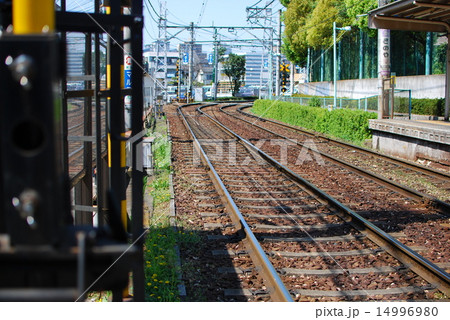 都電荒川線の線路 14996980